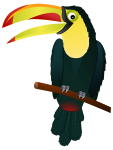 Toucan